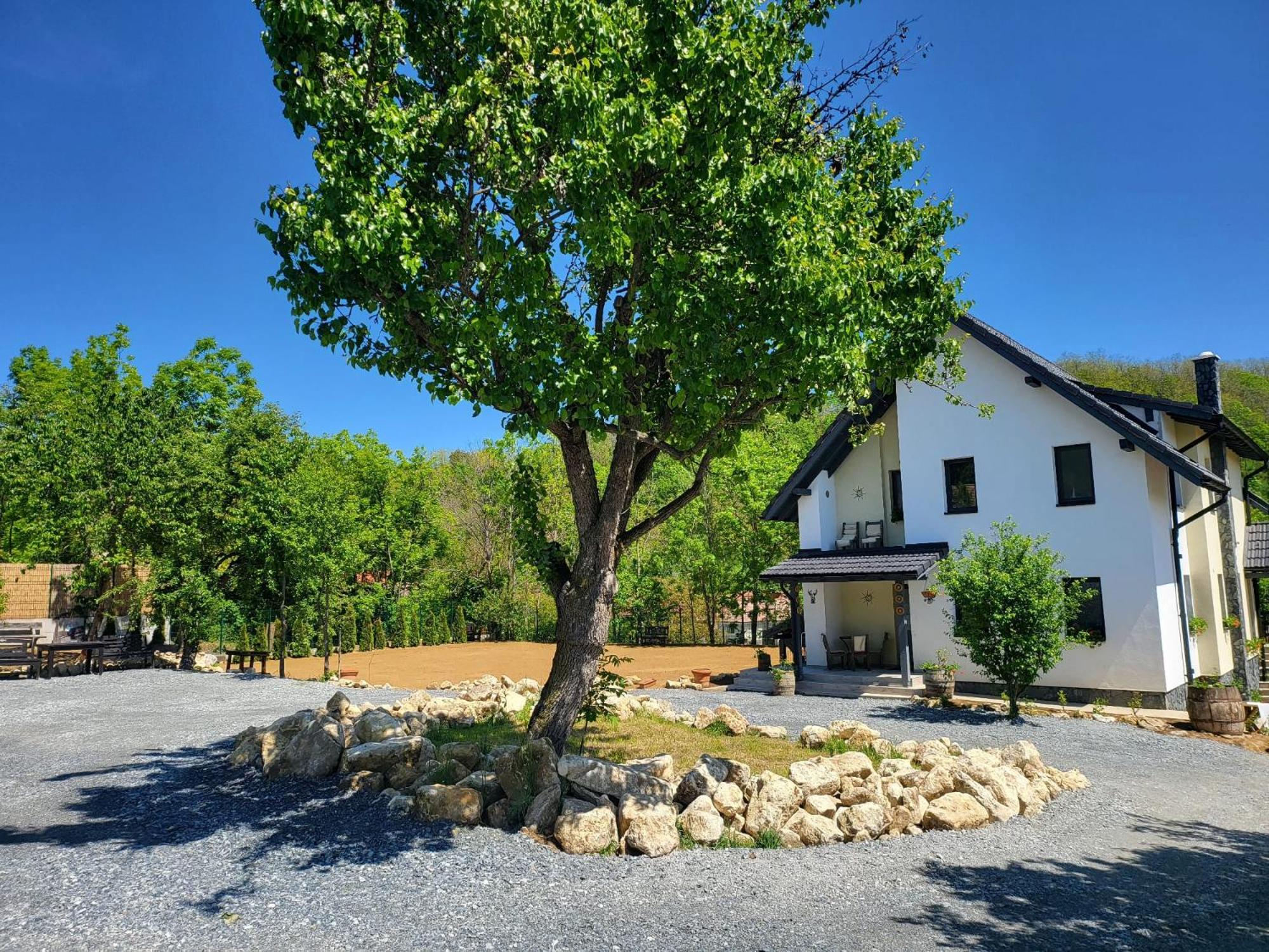 Pensiunea Casa Dacilor Podeni Luaran gambar