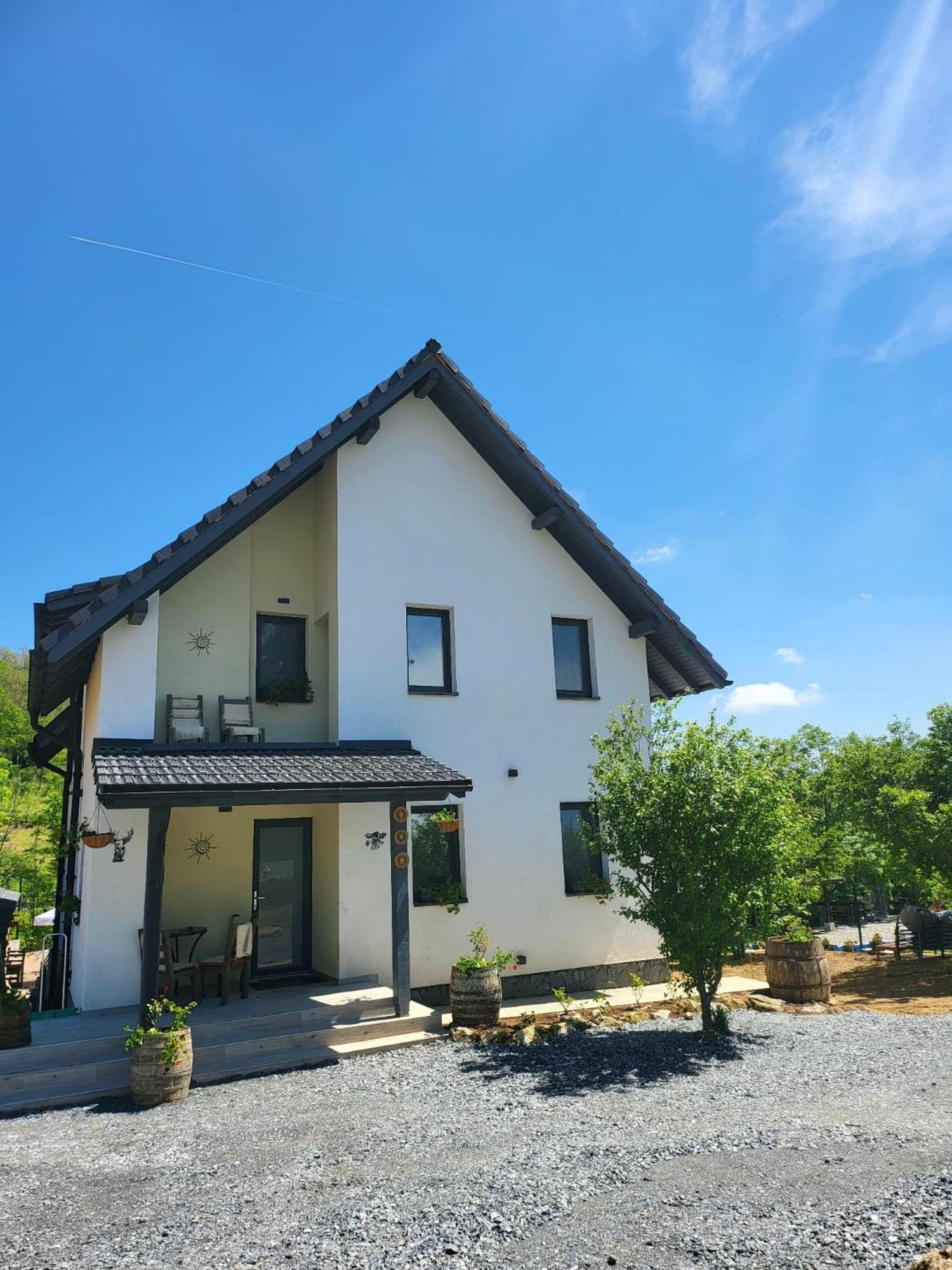 Pensiunea Casa Dacilor Podeni Luaran gambar